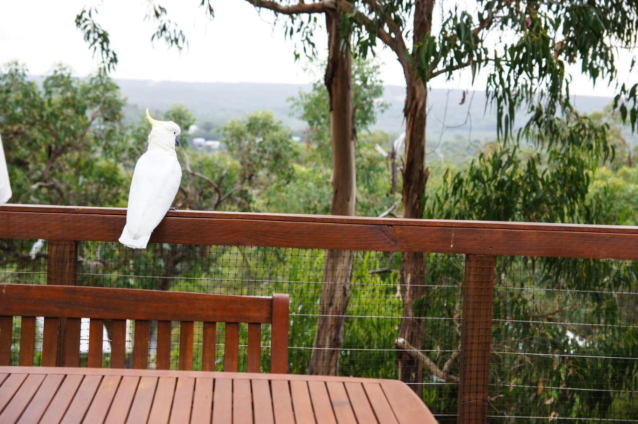 Tree Top Getaway Anglesea Exterior photo