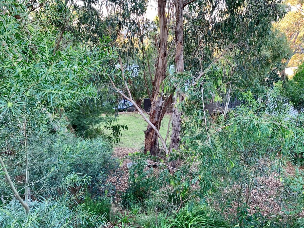 Tree Top Getaway Anglesea Exterior photo